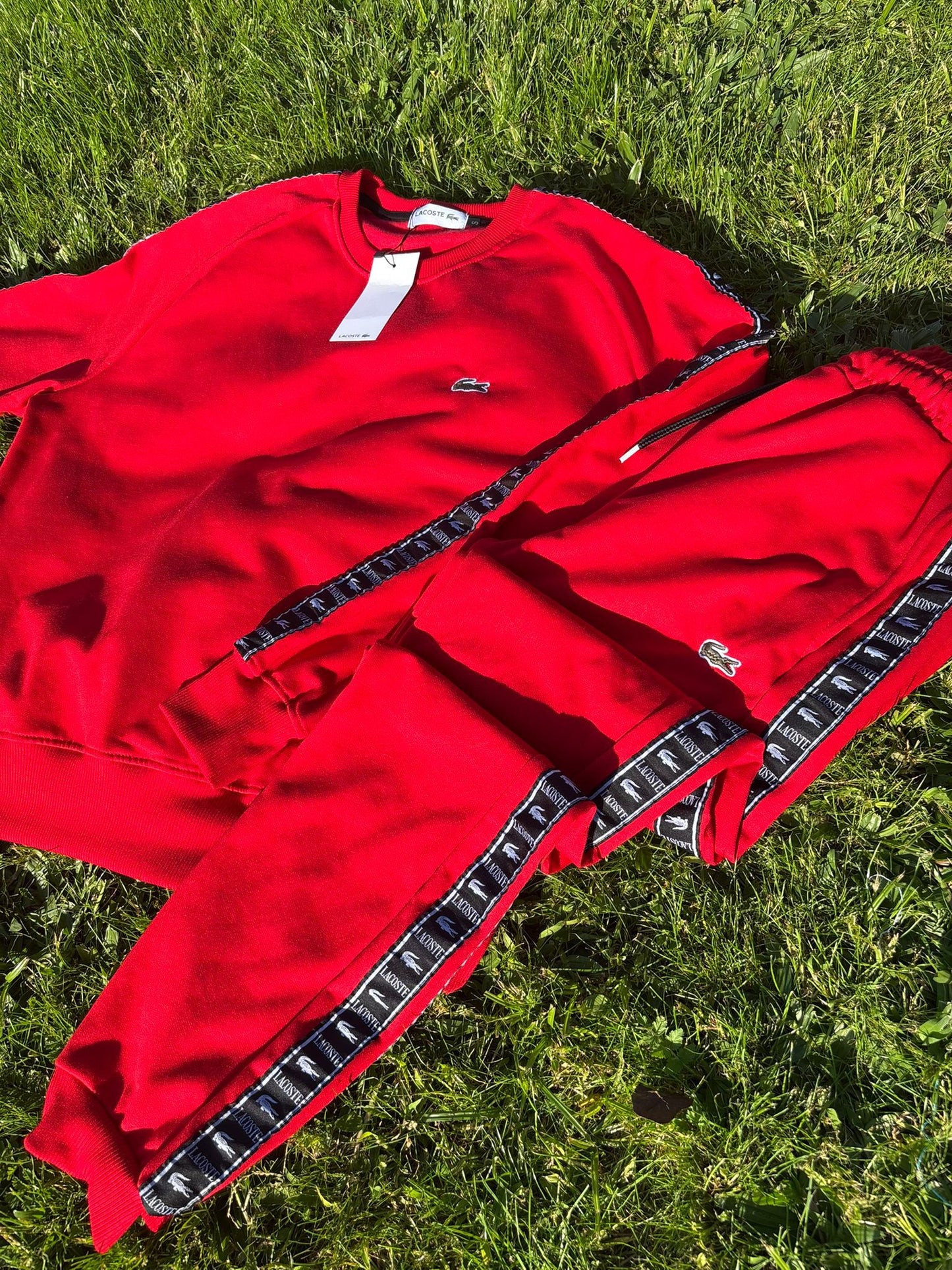 chandal lacoste hombre